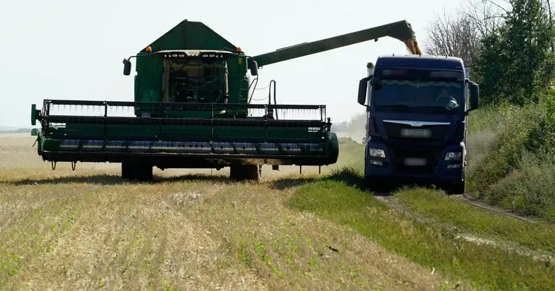 Жнива у Борщівці Ізюмського району, липень 2024 року. Суспільне Харків Жнива у Борщівці (відео) на порталі Gromada Group