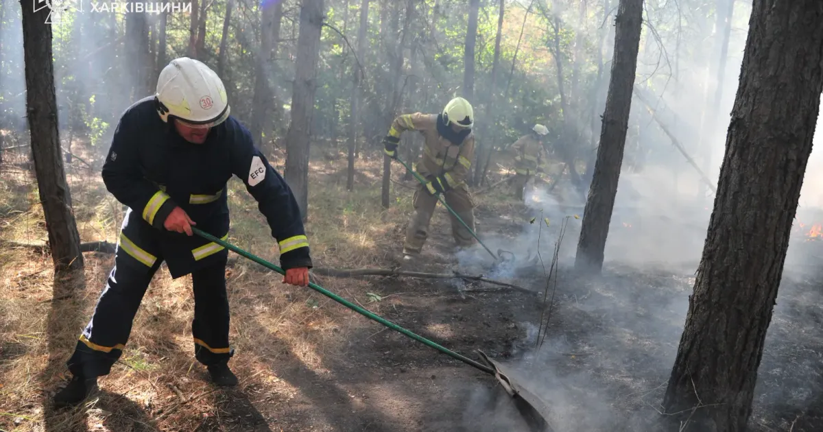 Фото: ГУ ДСНС України у Харківській області Пожежу у Балаклійському лісництві вдалося локалізувати на порталі Gromada Group