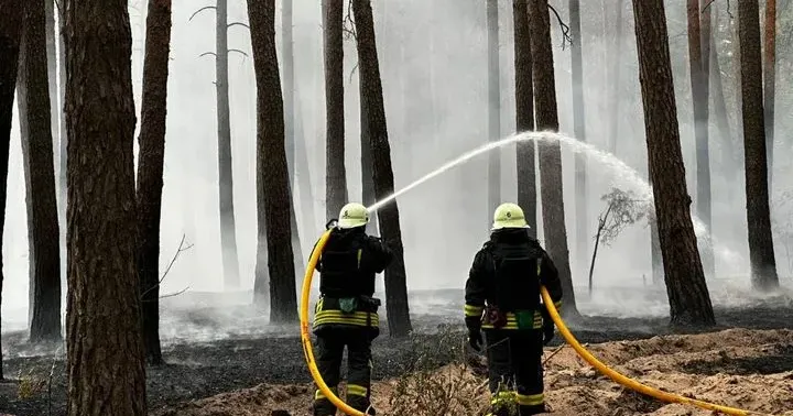 Фото: ГУ ДСНС України у Харківській області На ліквідації лісових пожеж працюють рятувальники поблизу Балаклії, Петрівського, Борової і Сніжківки на Ізюмщині на порталі Gromada Group