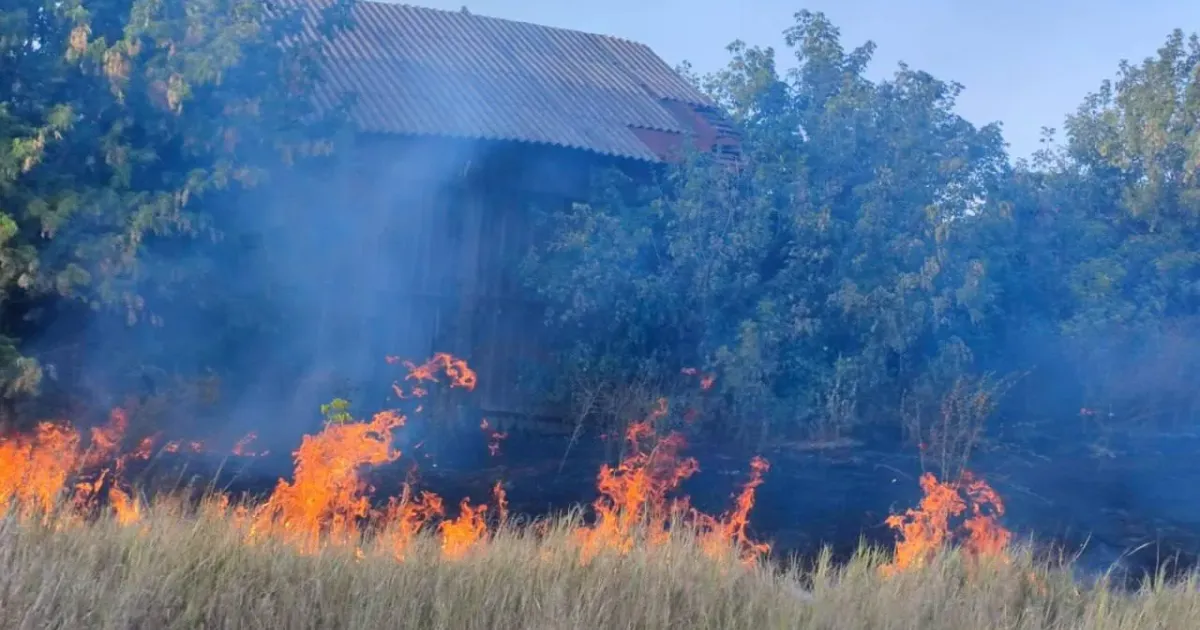 Фото: Балаклійська МВА Мешканка Гусарівки, що палила суху траву, спричинила пожежу у 11 домоволодіннях на порталі Gromada Group